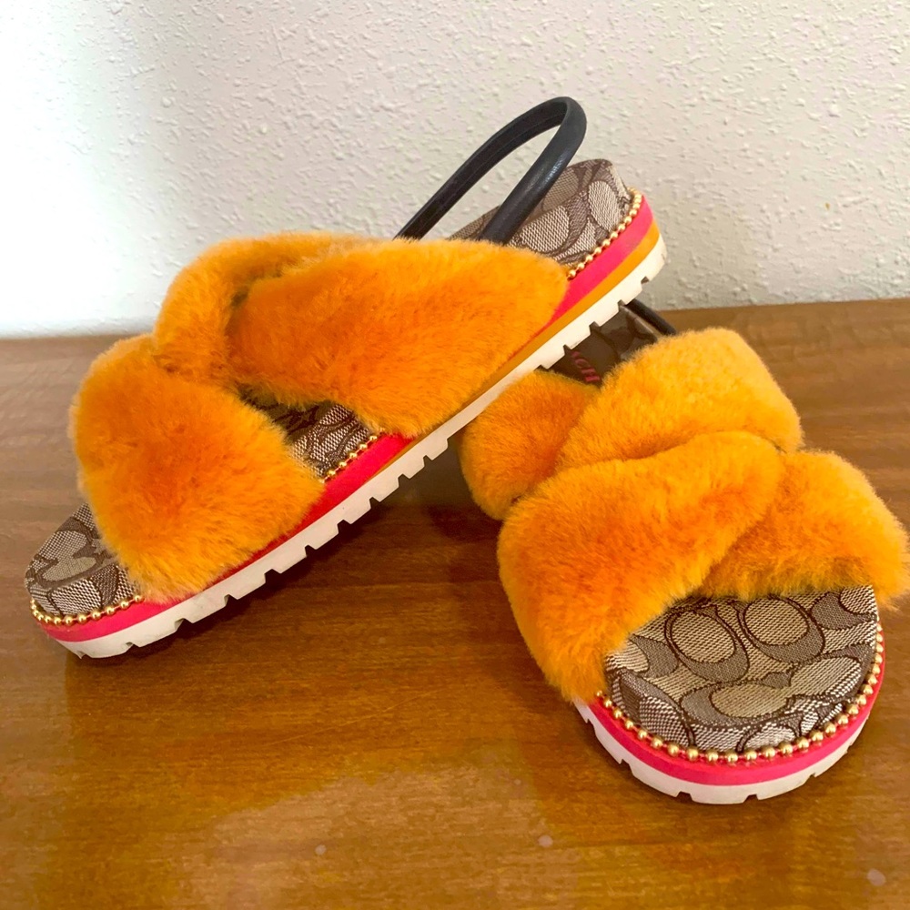 Coach Slides